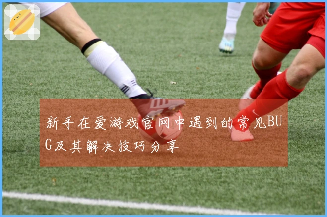 新手在爱游戏官网中遇到的常见BUG及其解决技巧分享