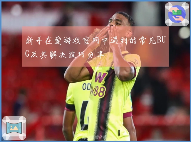 新手在爱游戏官网中遇到的常见BUG及其解决技巧分享